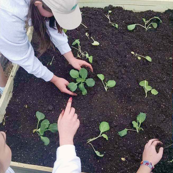 community gardens in tuscaloosa