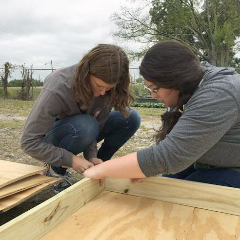 community gardens in tuscaloosa