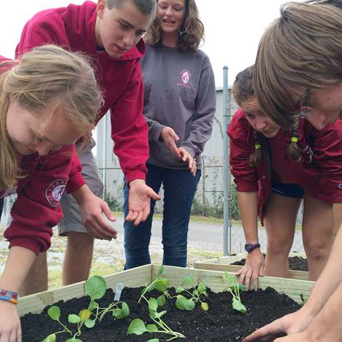 community gardens in tuscaloosa