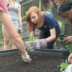 community gardens in tuscaloosa