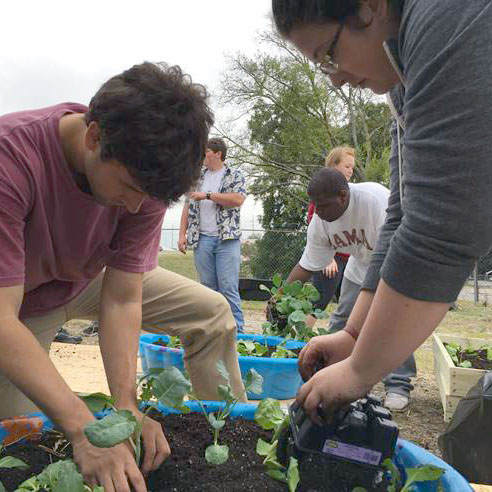 community gardens in tuscaloosa