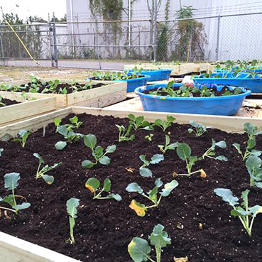 community gardens in tuscaloosa